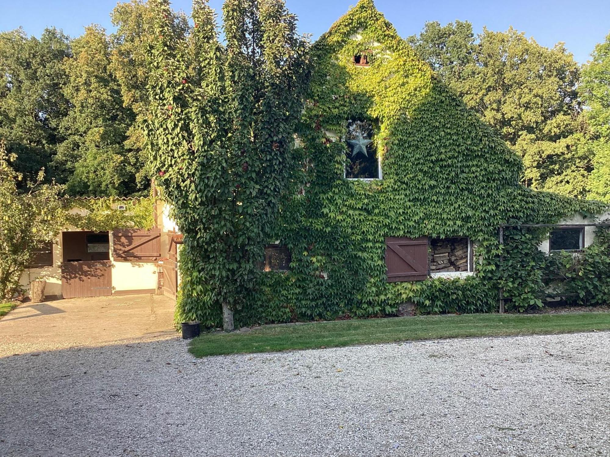 フロートーKuhlmanns Hofアパートメント エクステリア 写真